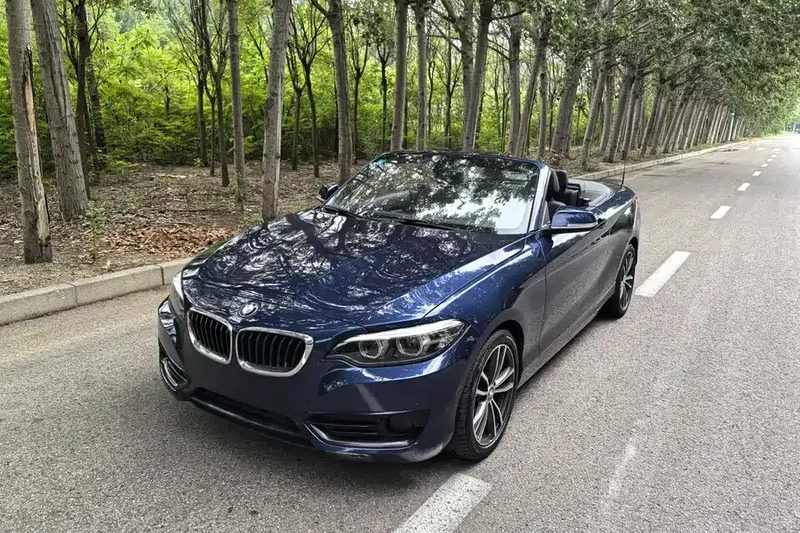 Affordable and High-quality Second-hand BMW 2 Series (imported) 2018 2 Series 220i Convertible Coupe Sports Car Used Cars Bmw